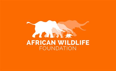 10 Best Wildlife Charities to Support .